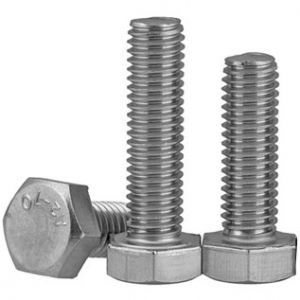 SS304 Fasteners